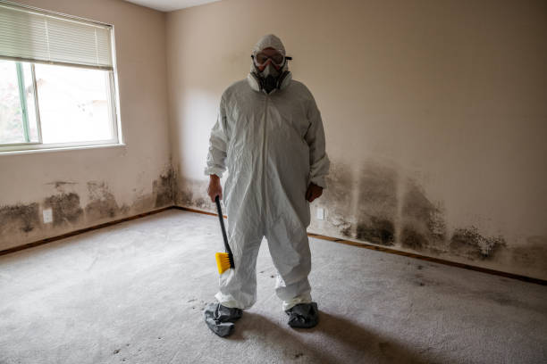 Best Crawl Space Mold Removal  in Corpus Christi, TX