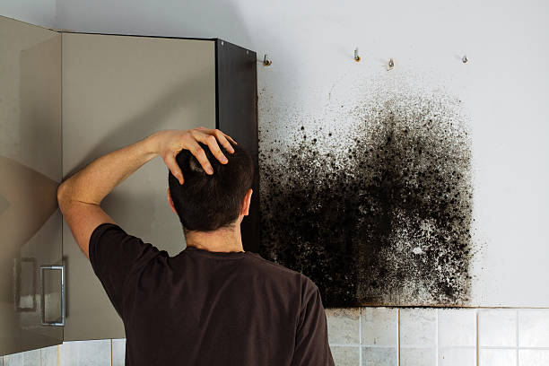 Best Professional Mold Removal  in Corpus Christi, TX